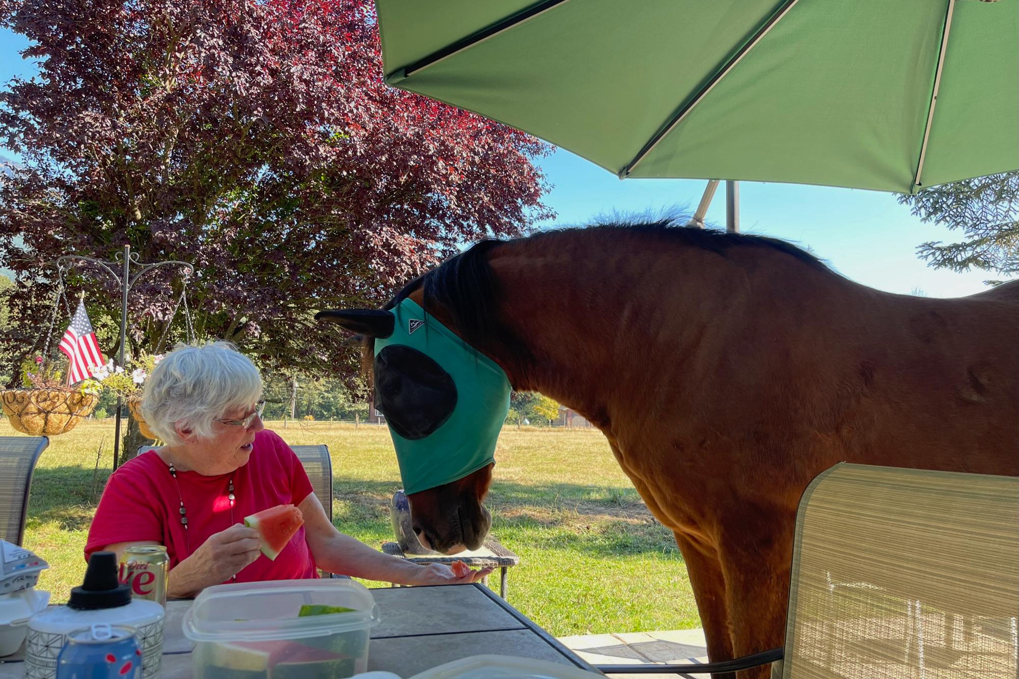 Mama eating water mellon